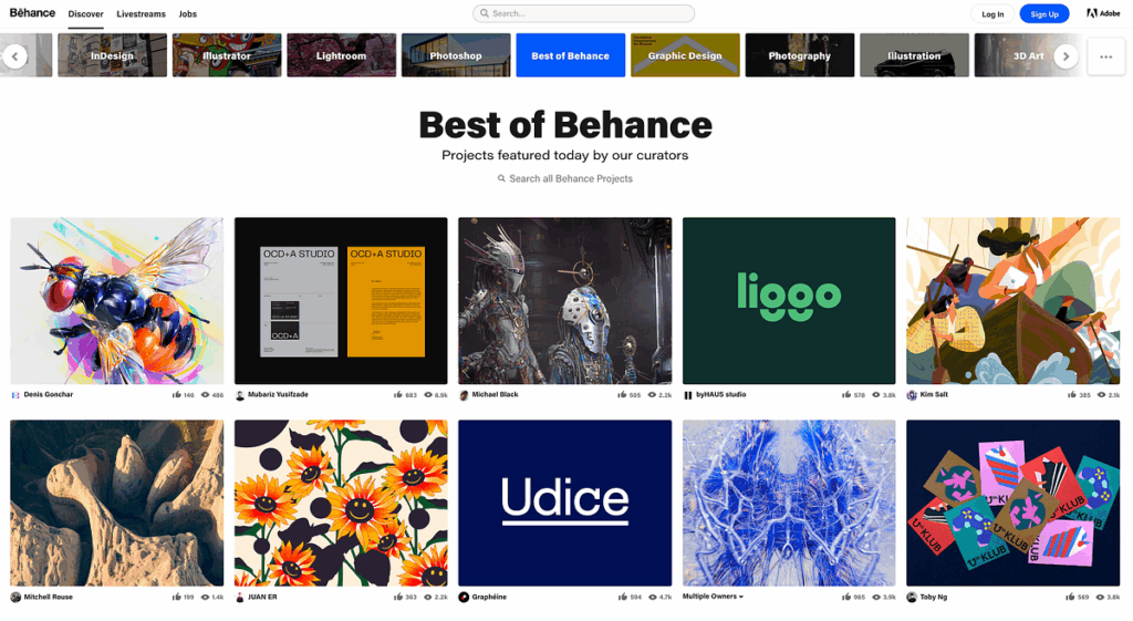Bright Ideas & Bold Designs: Unlock Website Design Inspiration for 2025 behance web design inspiration example