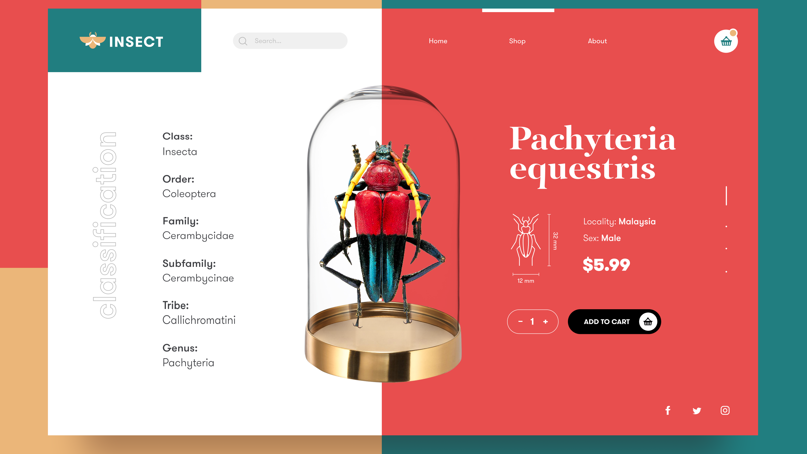 Empowering & Transformative: The Ultimate Path to Becoming a UX/UI Designer in 2025 Creative process of UI/UX Design