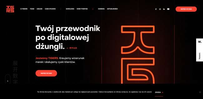 Web Design Trends 2025: Unlocking the Future of Digital Creativity Dark Themes web design